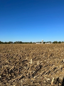 12.8 Acres in Pike County, MO - image 8