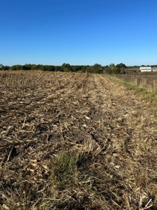 12.8 Acres in Pike County, MO - image 6