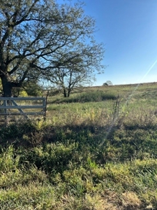 12.8 Acres in Pike County, MO - image 10