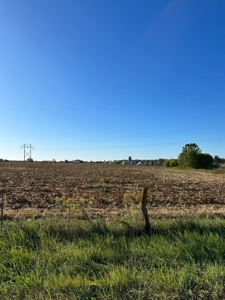 18 Acres in the Country-North of Troy/South of Bowling Green - image 8