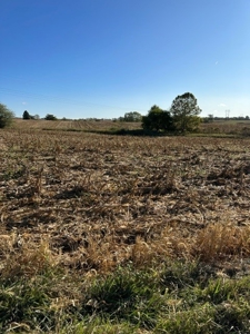18 Acres in the Country-North of Troy/South of Bowling Green - image 6