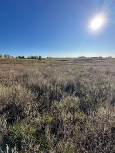 18 Acres in the Country-North of Troy/South of Bowling Green - image 11