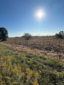 18 Acres in the Country-North of Troy/South of Bowling Green - image 7