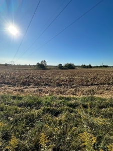 18 Acres in the Country-North of Troy/South of Bowling Green - image 9