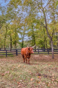 Majestic 29 Acre Property - image 49