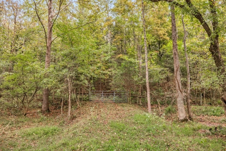 Majestic 29 Acre Property - image 30