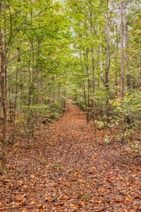 Majestic 29 Acre Property - image 27