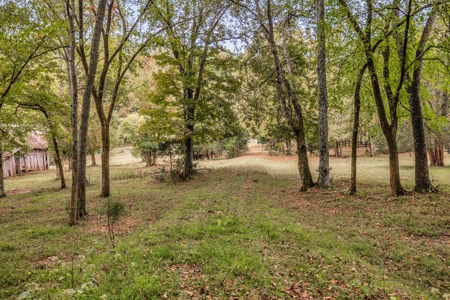 Majestic 29 Acre Property - image 29