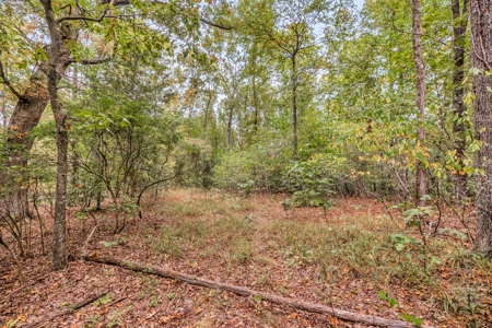 Majestic 29 Acre Property - image 25