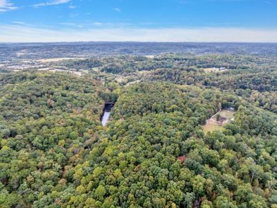 Majestic 29 Acre Property - image 14