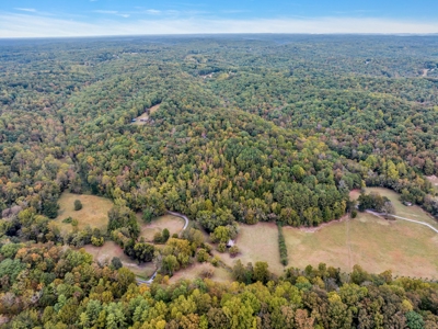 Majestic 29 Acre Property - image 4