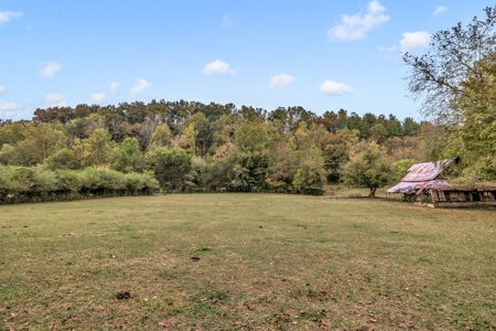 Majestic 29 Acre Property - image 33