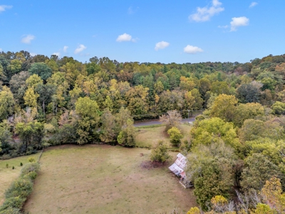 Majestic 29 Acre Property - image 16