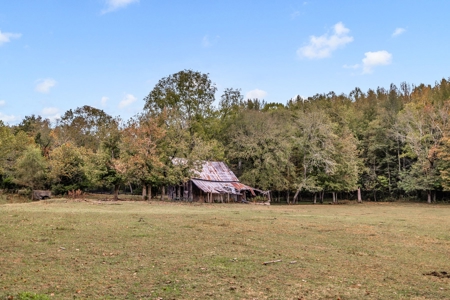 Majestic 29 Acre Property - image 37