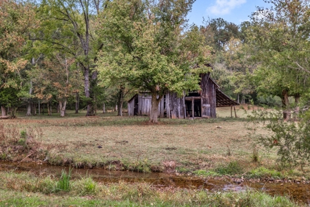 Majestic 29 Acre Property - image 1