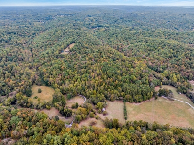 Majestic 29 Acre Property - image 5