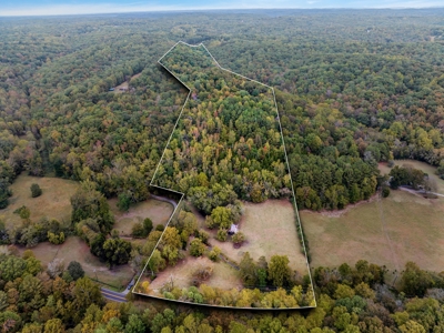 Majestic 29 Acre Property - image 18