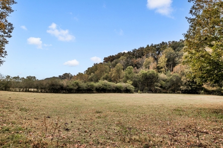 Majestic 29 Acre Property - image 32