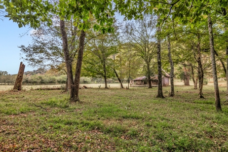 Majestic 29 Acre Property - image 31