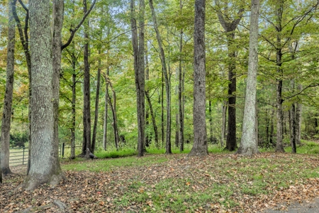 Majestic 29 Acre Property - image 19