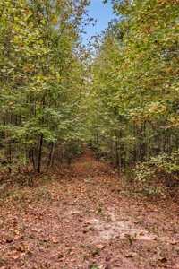 Majestic 29 Acre Property - image 21