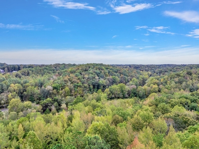 Majestic 29 Acre Property - image 8
