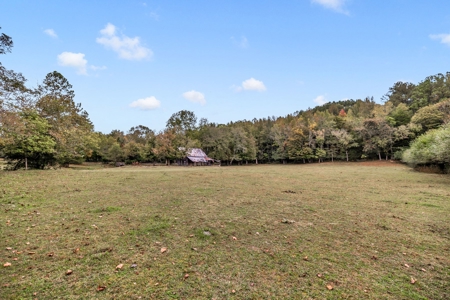 Majestic 29 Acre Property - image 36