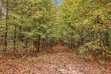 Majestic 29 Acre Property - image 20