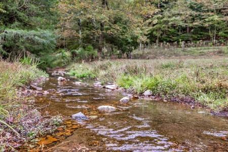 Majestic 29 Acre Property - image 42