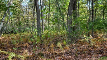 Escape to Your Private Wilderness Retreat in Monroe County - image 14