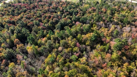 Escape to Your Private Wilderness Retreat in Monroe County - image 3