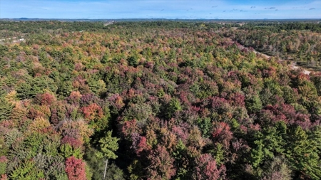 Escape to Your Private Wilderness Retreat in Monroe County - image 7