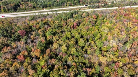 Escape to Your Private Wilderness Retreat in Monroe County - image 6