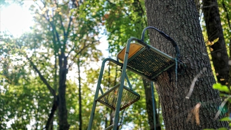 Escape to Your Private Wilderness Retreat in Monroe County - image 17