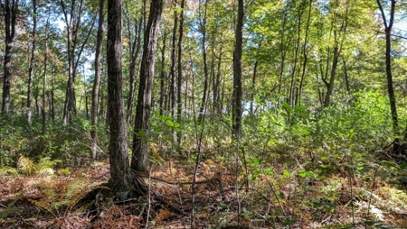 Escape to Your Private Wilderness Retreat in Monroe County - image 30