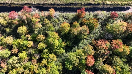 Escape to Your Private Wilderness Retreat in Monroe County - image 1