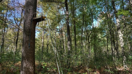 Escape to Your Private Wilderness Retreat in Monroe County - image 18