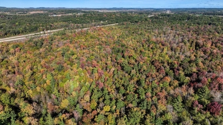 Escape to Your Private Wilderness Retreat in Monroe County - image 2