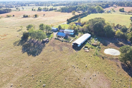 Farm with 150 Acres in Salem, Perfect for Livestock! - image 6