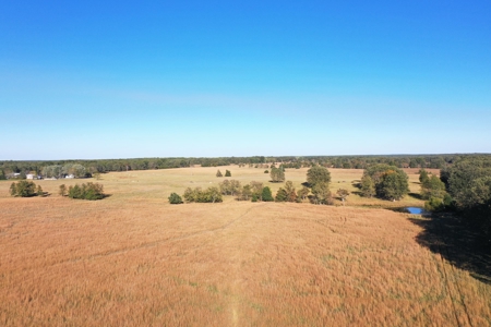 Farm with 150 Acres in Salem, Perfect for Livestock! - image 2