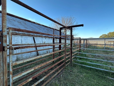Farm with 150 Acres in Salem, Perfect for Livestock! - image 45