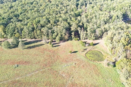 Farm with 150 Acres in Salem, Perfect for Livestock! - image 5