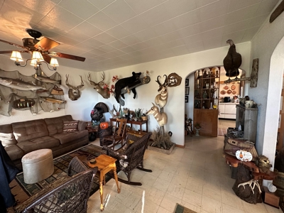 Farm with 150 Acres in Salem, Perfect for Livestock! - image 11