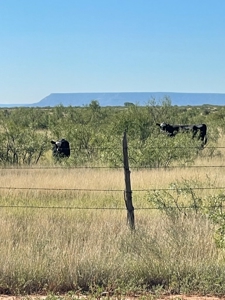 Ranch for Sale in Quay County, NM - image 2