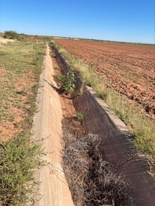 Ranch for Sale in Quay County, NM - image 5
