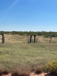 Ranch for Sale in Quay County, NM - image 4