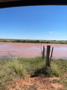 Ranch for Sale in Quay County, NM - image 6