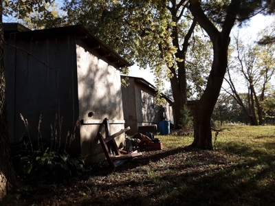 Real Estate Auction- Thurs., November 9th @ 4pm - image 6