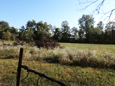 Real Estate Auction- Thurs., November 9th @ 4pm - image 8
