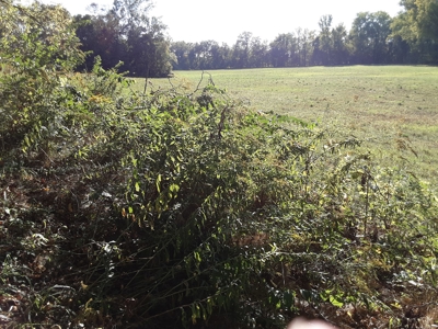 Real Estate Auction- Thurs., November 9th @ 4pm - image 4